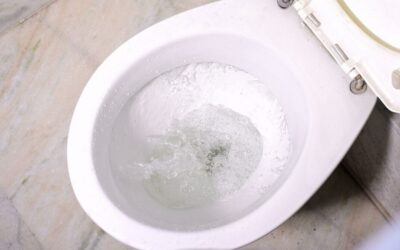 Why Does My Toilet Keep Running? Common Causes and Fixes